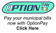 Option_Pay_payment_image(1)