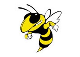 yellow and black hornet