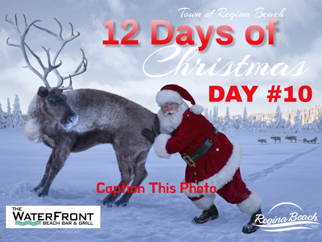 Day #10 of Our 12 Days of Christmas