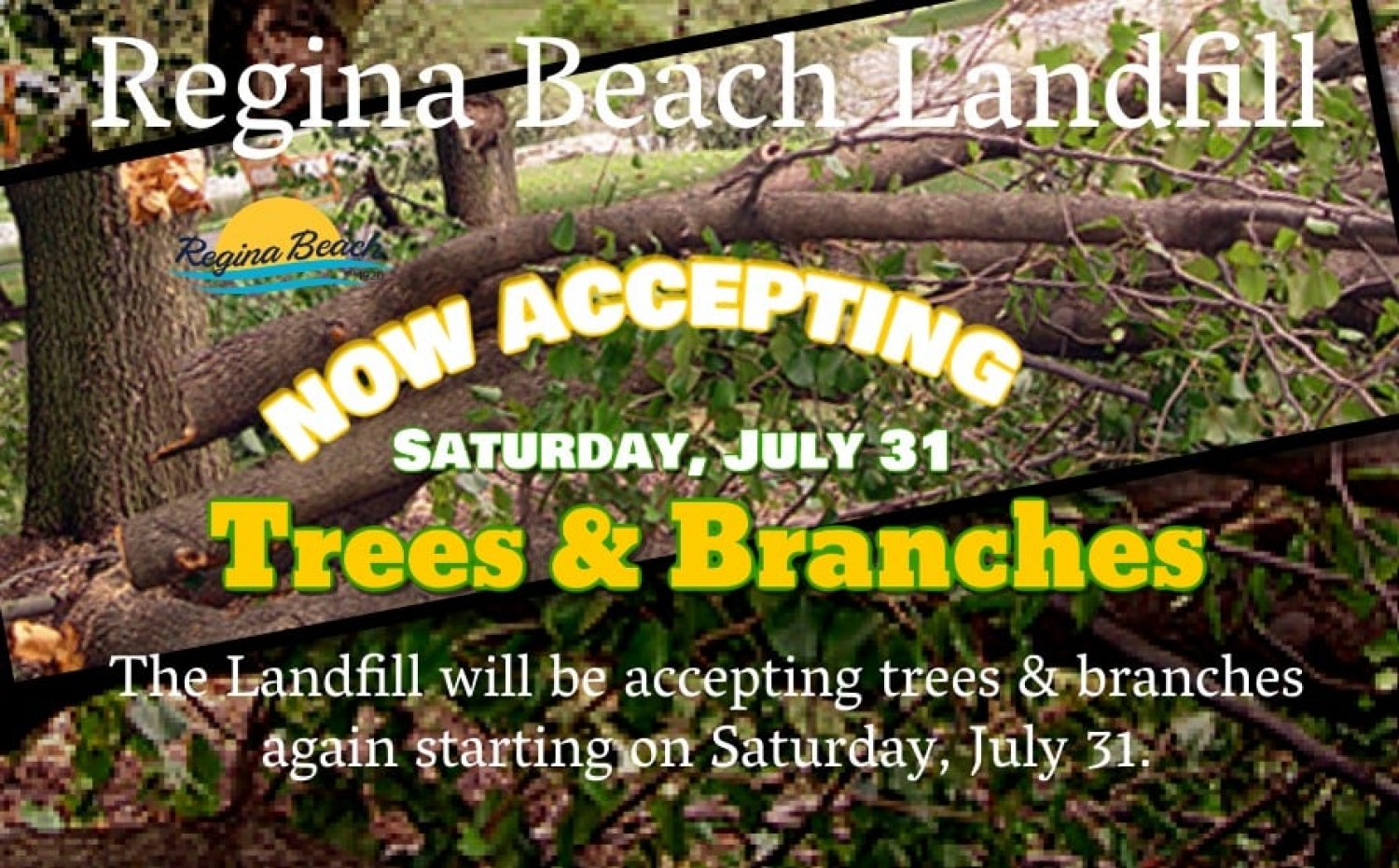 Landfill Accepting Trees & Branches again!