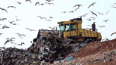 Landfill Open 