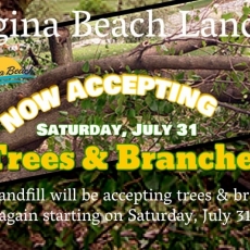 Landfill Accepting Trees & Branches again!