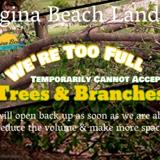 Landfill Temporarirly Cannot Accept Trees & Branches