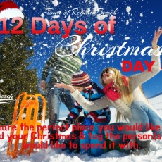 Day #9 of Our 12 Days of Christmas