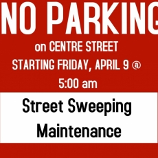 No Parking Centre St starting 5am Friday