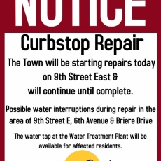Curbstop Repair - 9th Street E