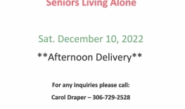 Christmas Package Delivery - Dec 10