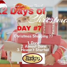 Day #7 of Our 12 Days of Christmas