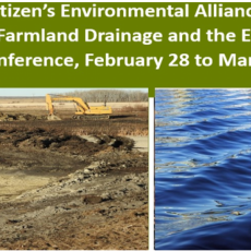 Citizen's Environmental Alliance 