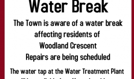 Water Break - Woodland Crescent