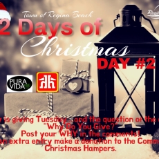 Day #2 of Our 12 Days of Christmas