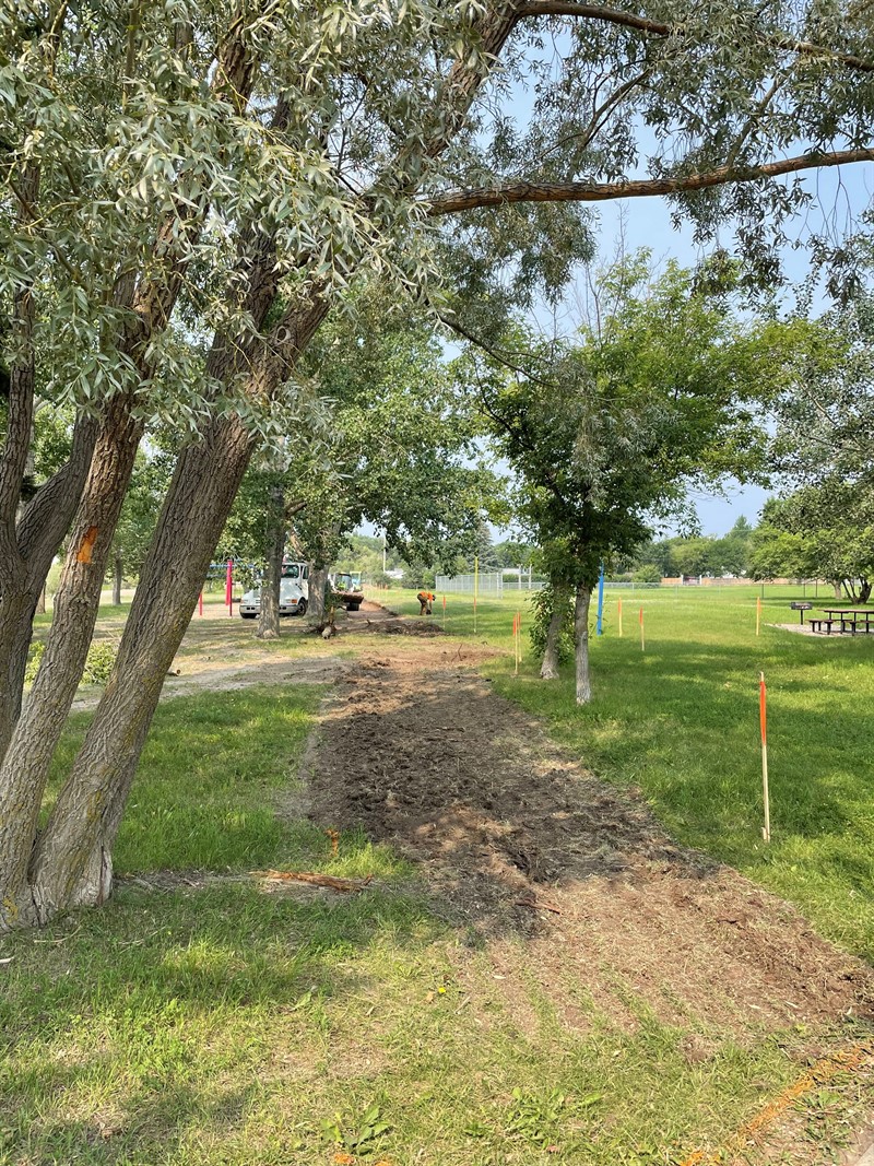Safe_Pathway_extension